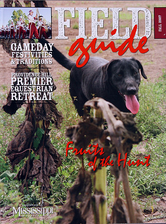 Website 024